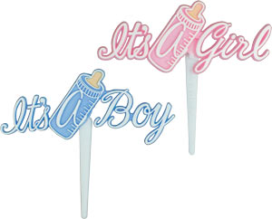 002160 It's a boy/it's a Girl