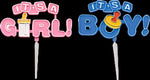 002180 Its a Boy/it's a Girl Cake Topper