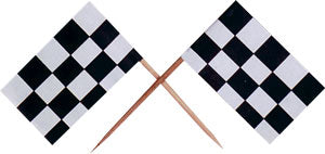Checkered flags 003330