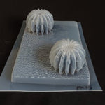 FX15 Molde Flex Cactus