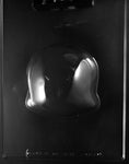 H-166A-B LARGE 3-D SKULL