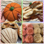 Conchas Gourmet