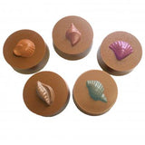 90-161283 ASSORTED SHELLS ROUND SANDWICH