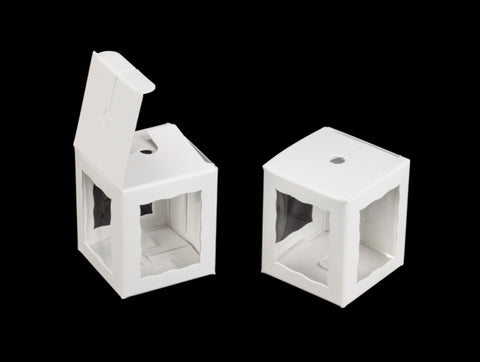 3653 white Single Cake Pop Box